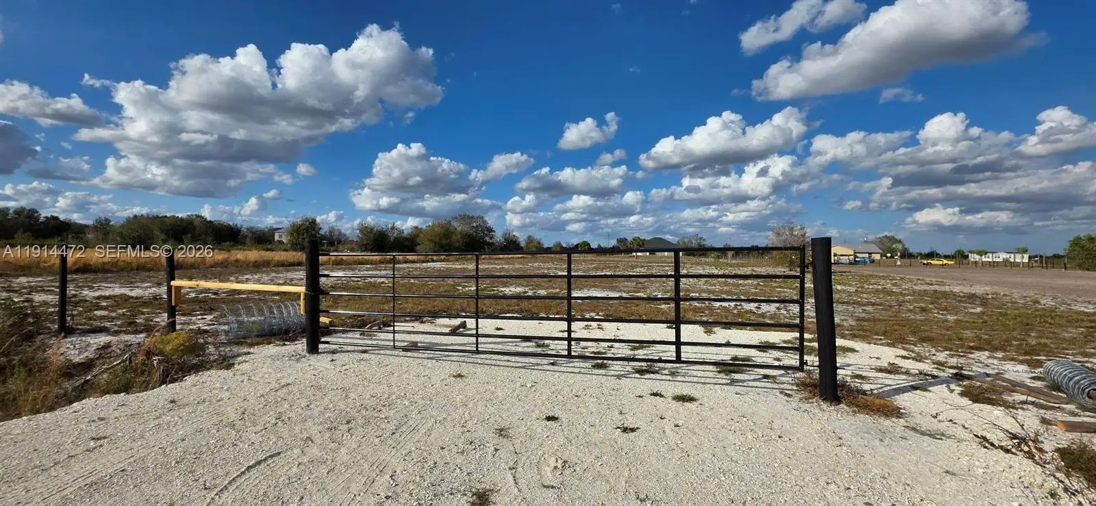 Photo of Listing #A11914472