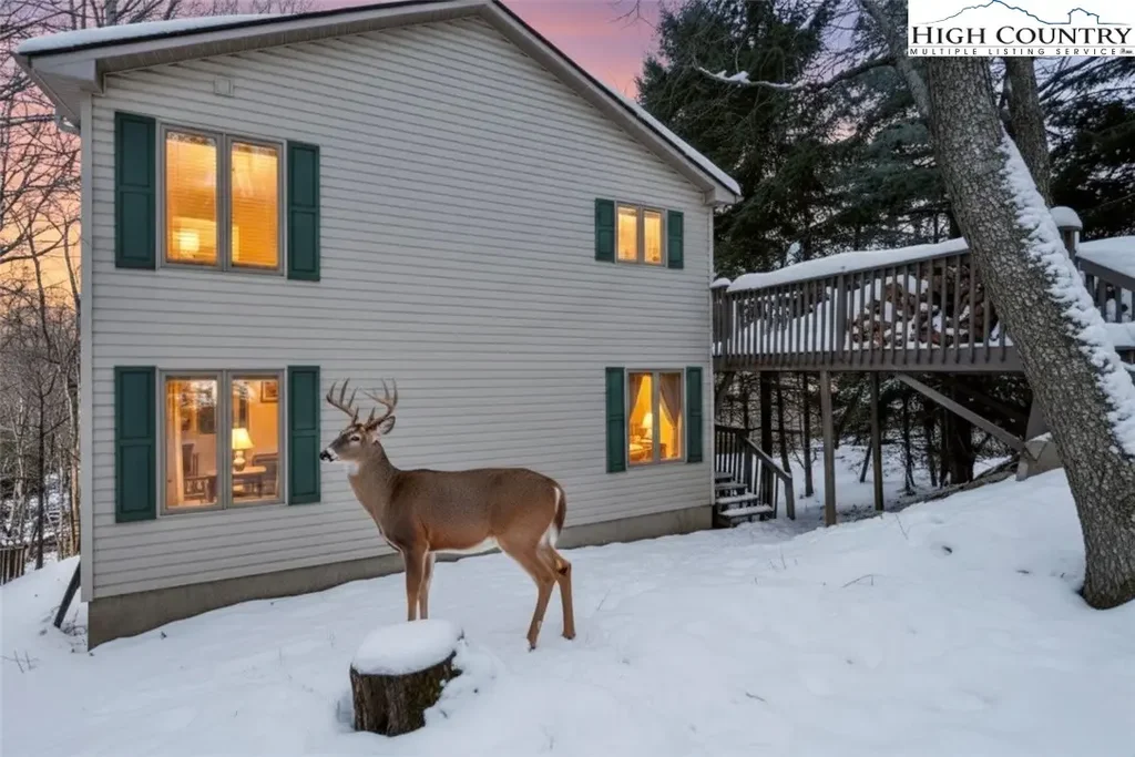 101 Doe Lane, Beech Mountain