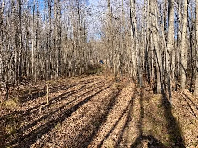 W 2o On School Rd, Glen Flora