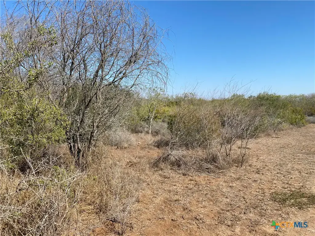 Cr 3081, Orange Grove