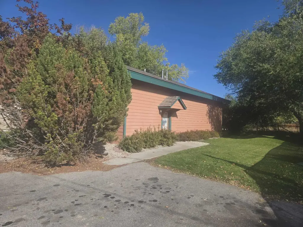 216 Flower Street, Hamilton