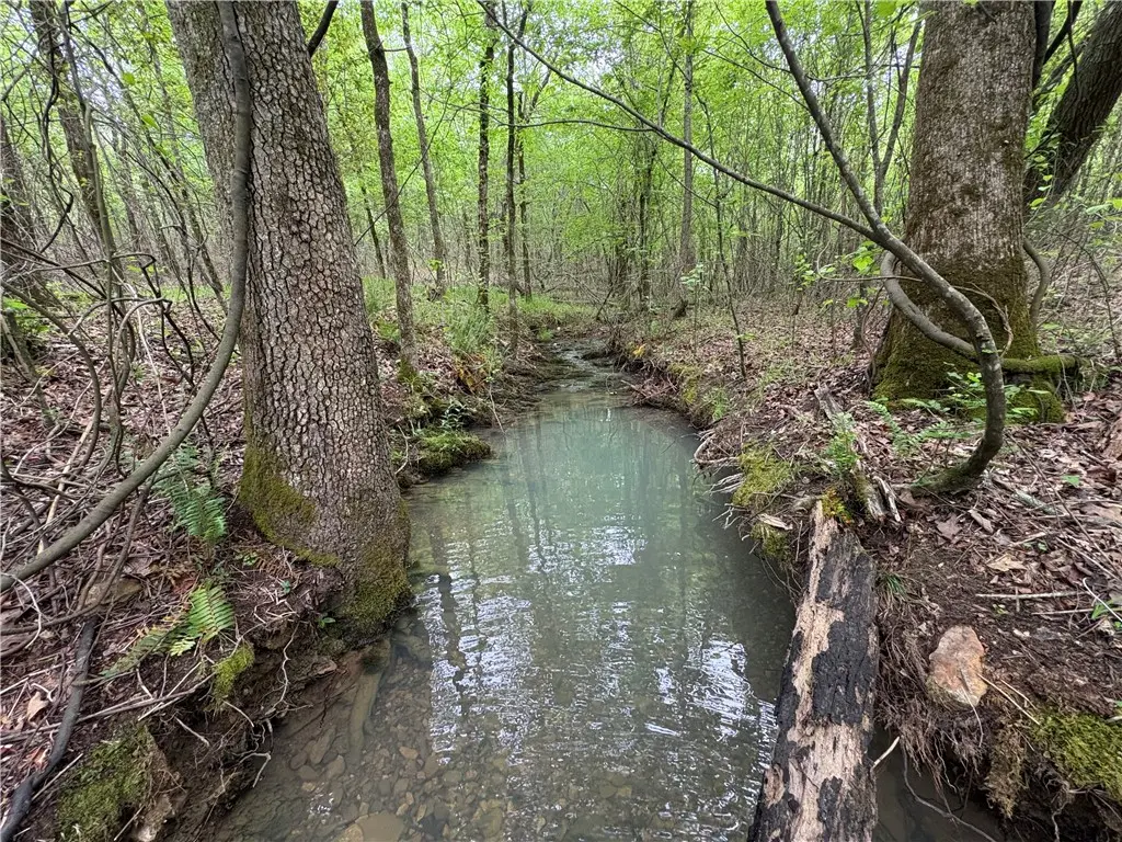 Tract 7 Nwf 517, Other AR