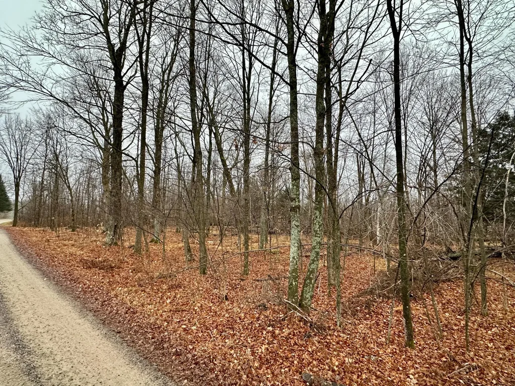 Lot 60 Chip N Dale Dr, Pickerel