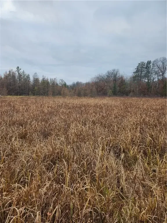 Xxx County Road Ff, Webster