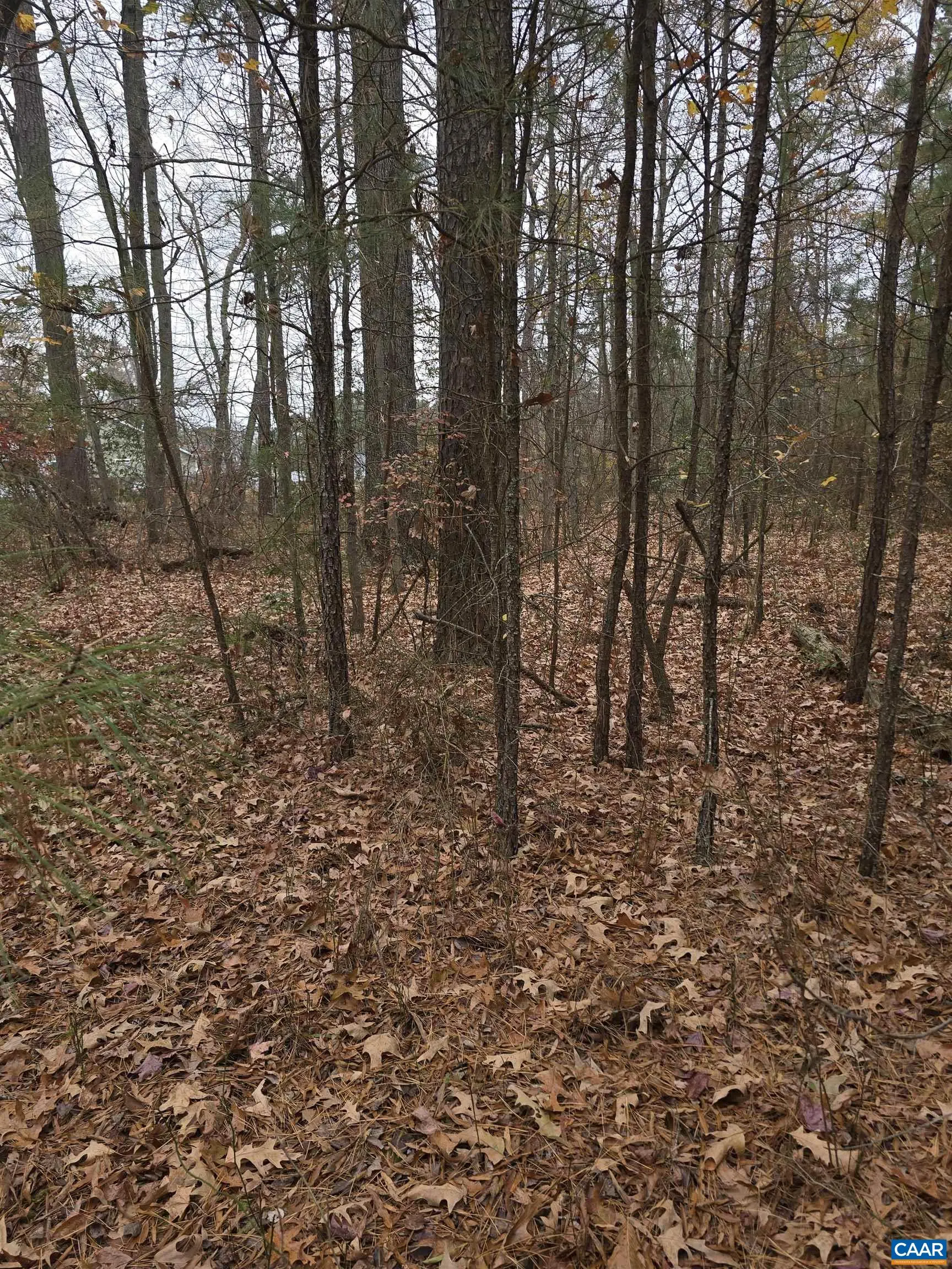 19 Evergreen Dr, Colonial Beach