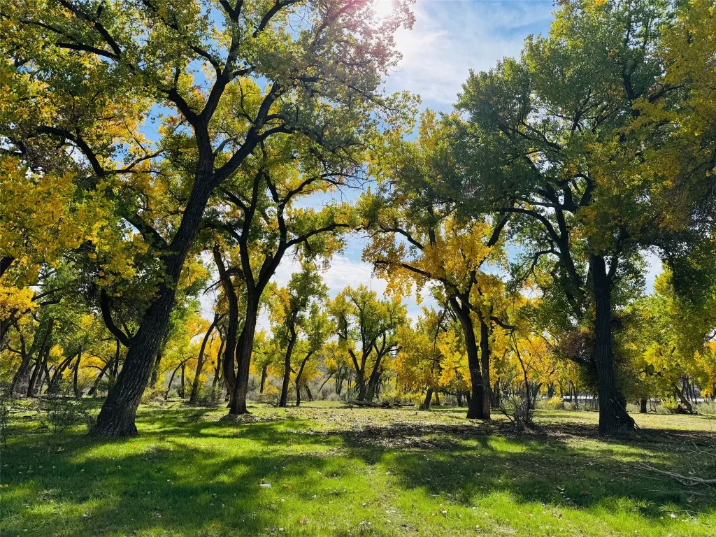 1459 N Nm 173, Navajo Dam