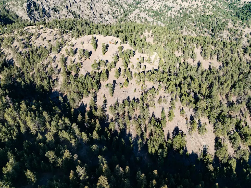 Tbd Big Pine Lane, Cascade