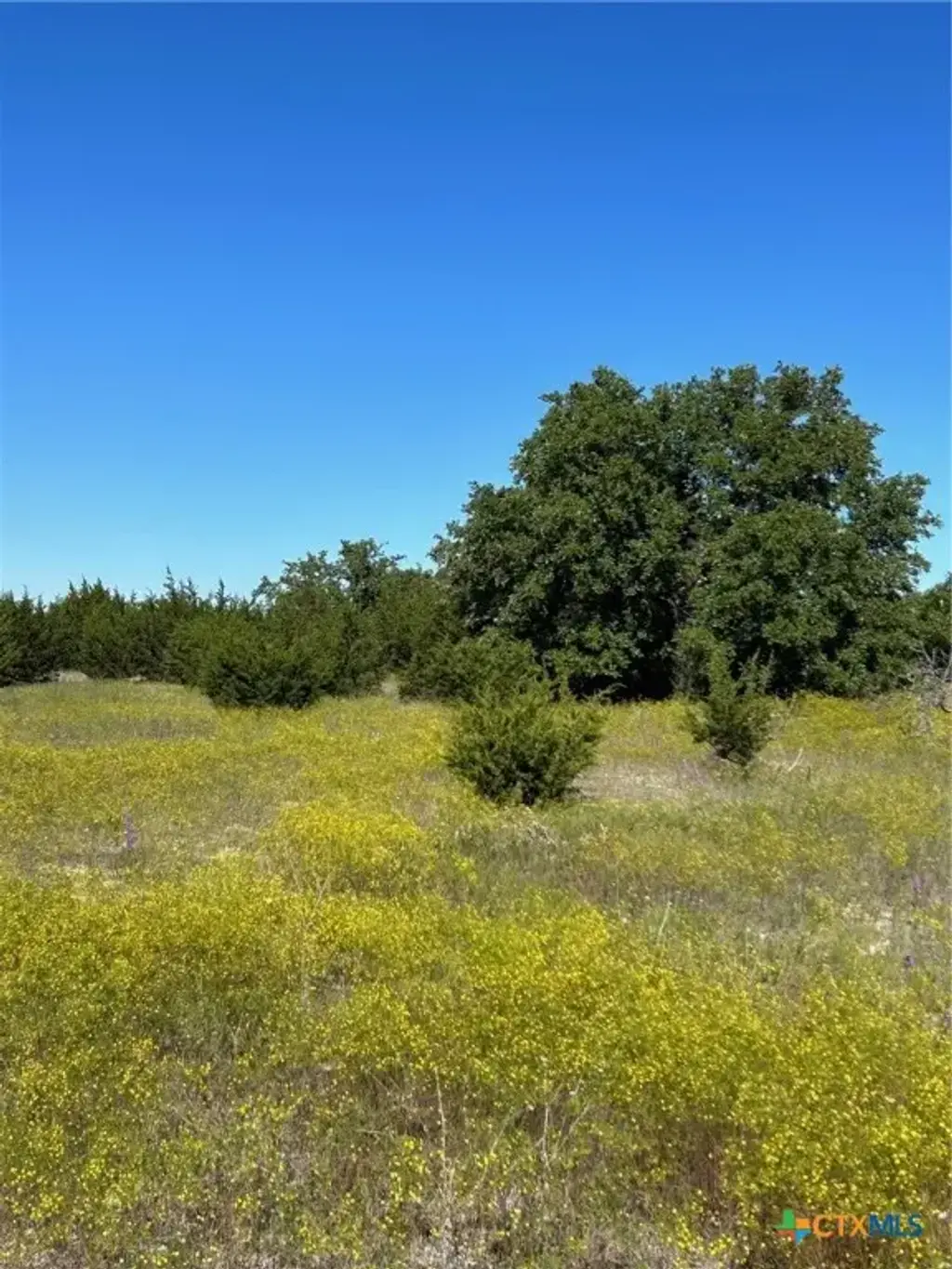 102 Cedar Bluff Loop, Gatesville