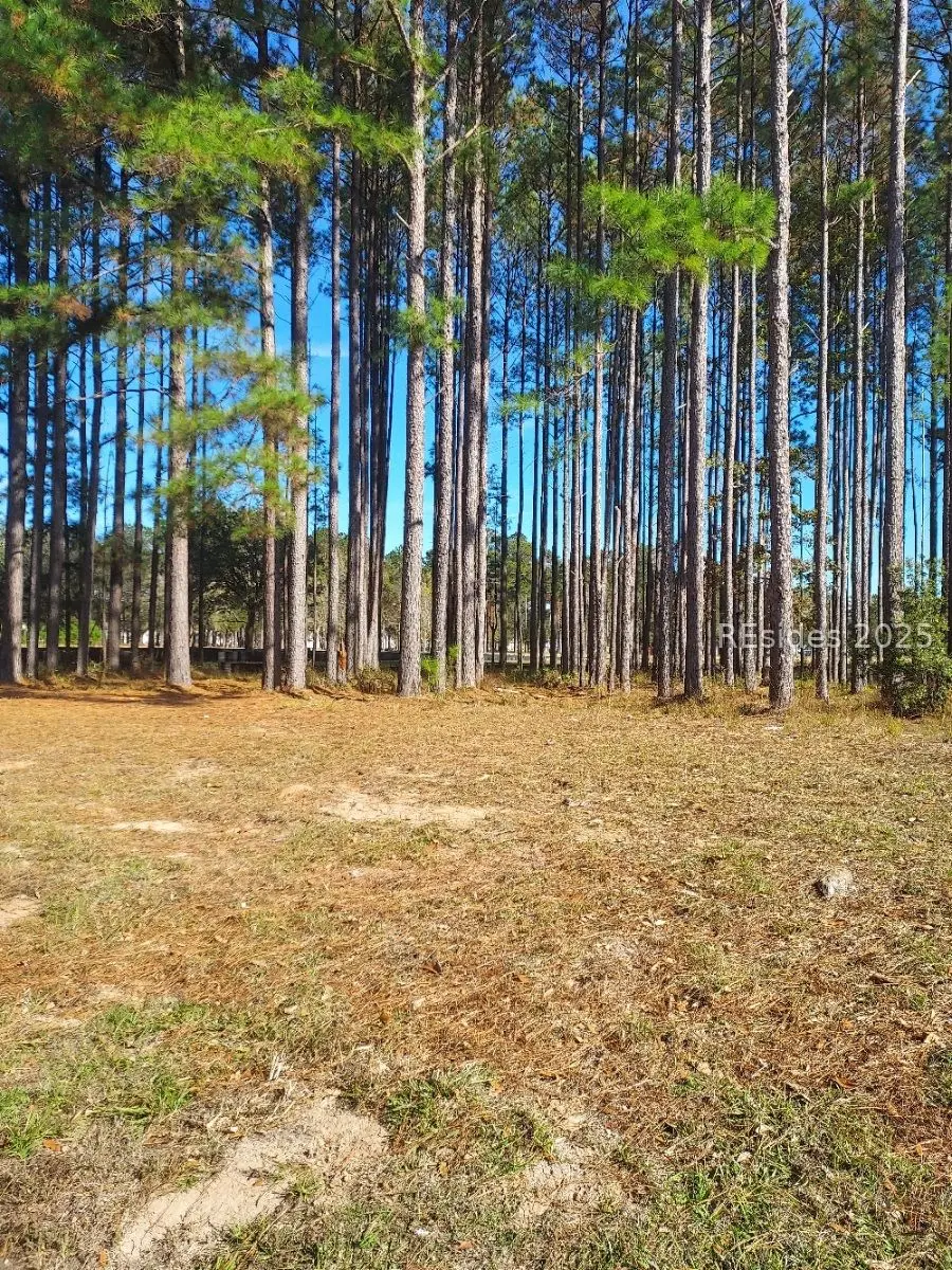 379 Azalea Drive, Hardeeville