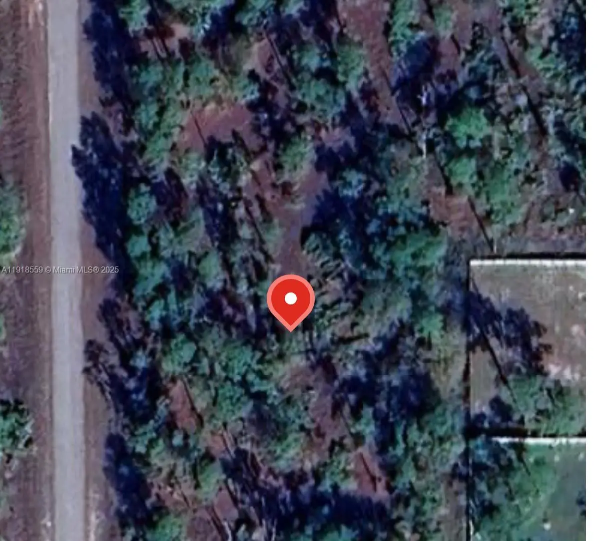 Photo of Listing #A11918559