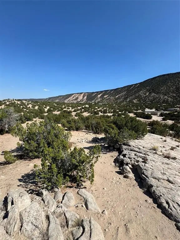 Cedar Ridge Loop/lava Rd, Ojo Caliente