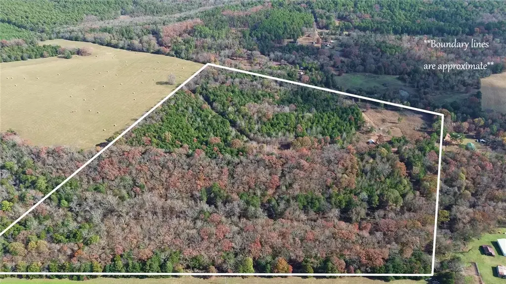 9943 Rough Branch Road, Mulberry