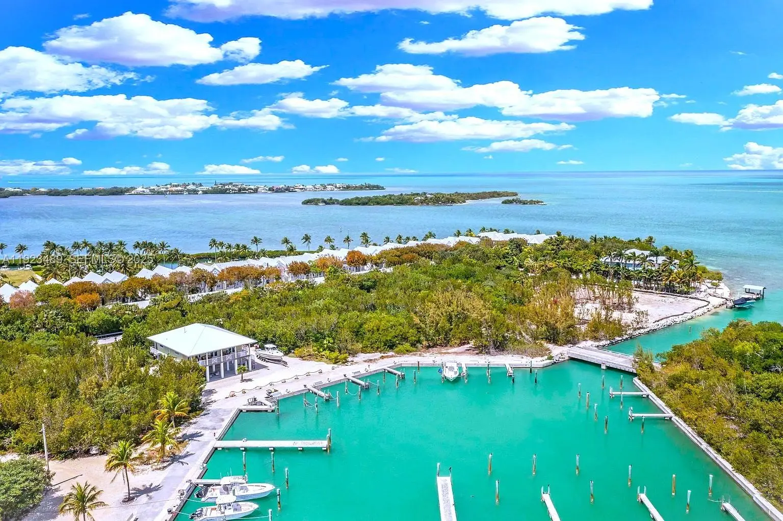 Photo of Listing #A11923489