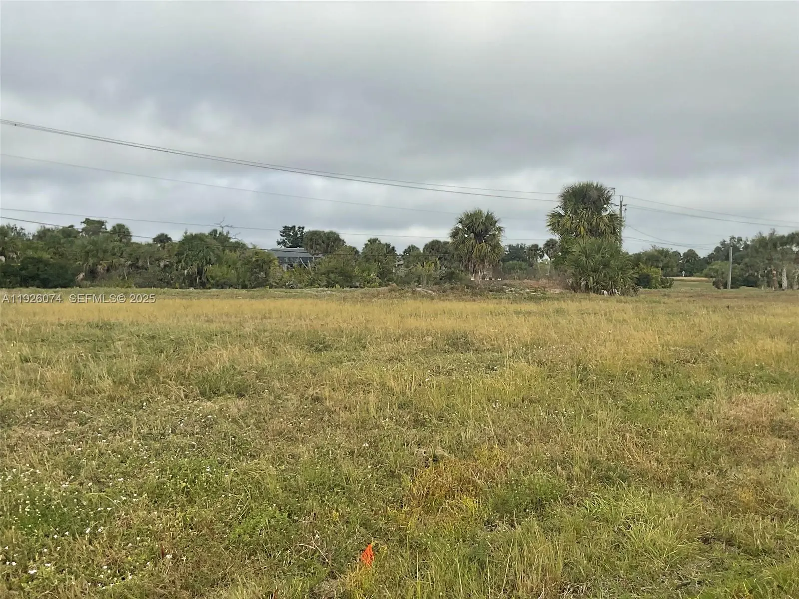 Photo of Listing #A11926074