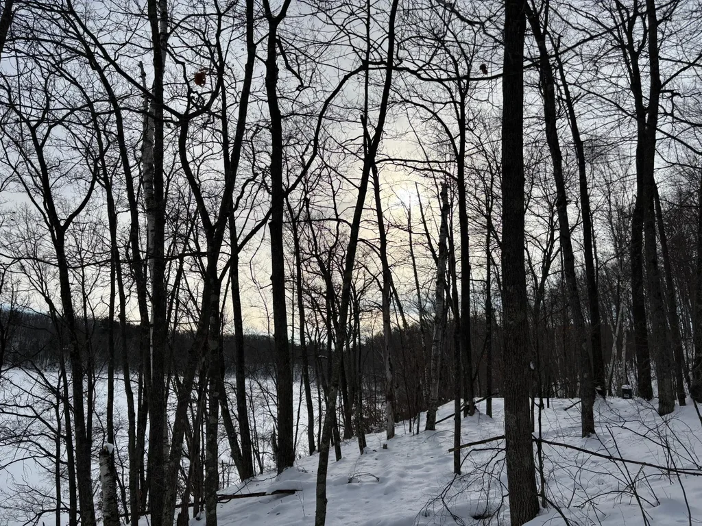 Off Cth H, Iron River