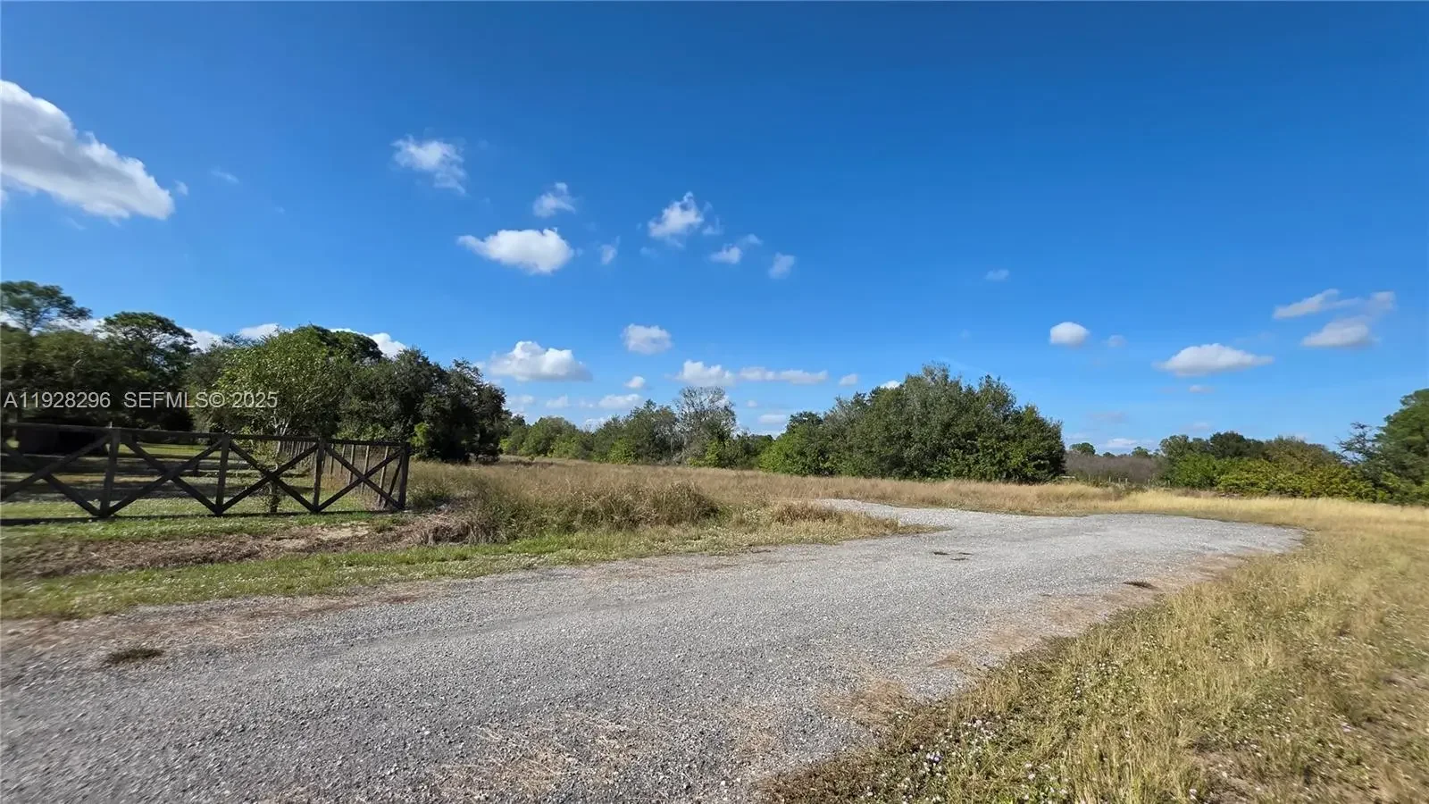 Photo of Listing #A11928296