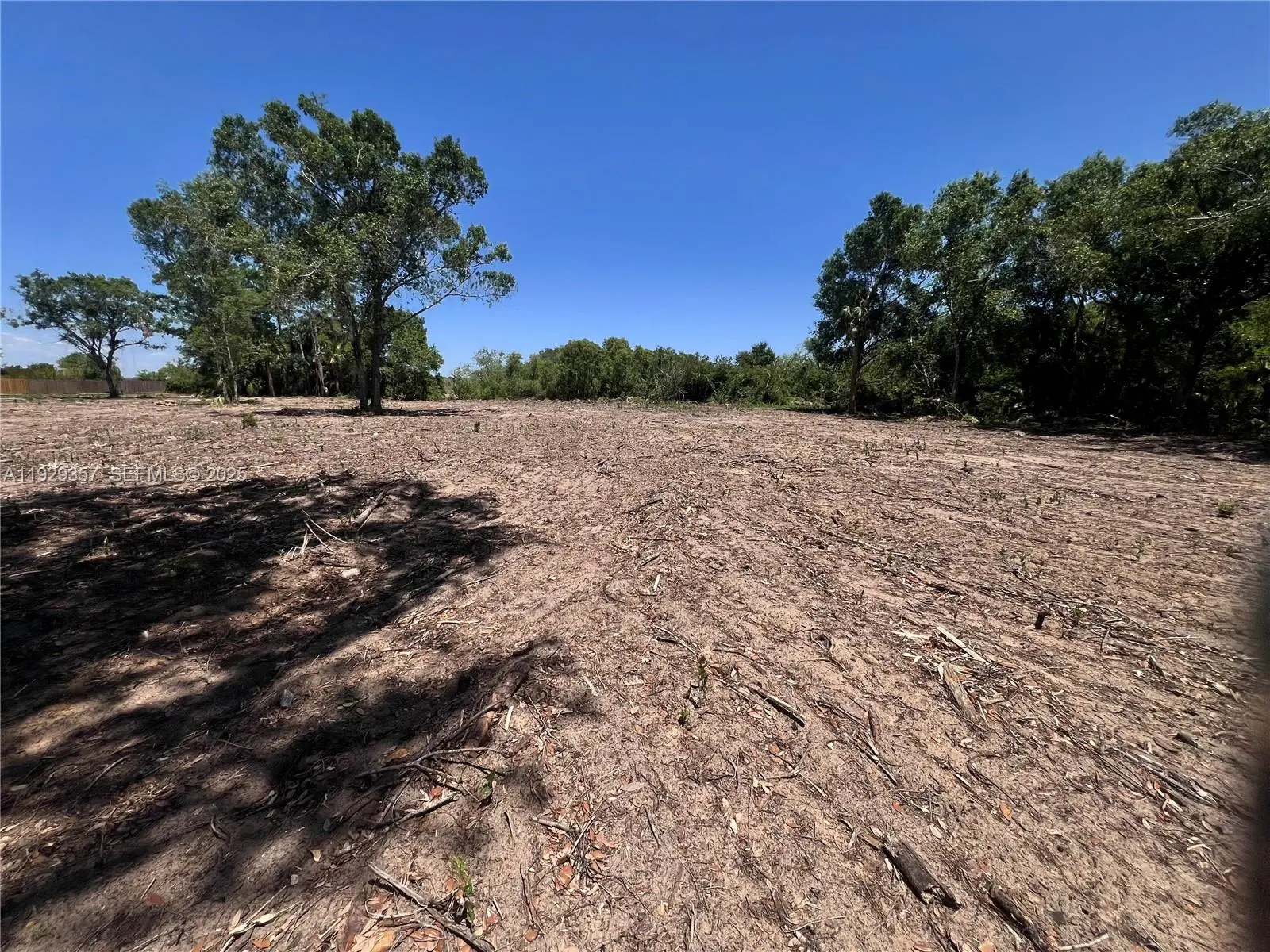 Photo of Listing #A11929357