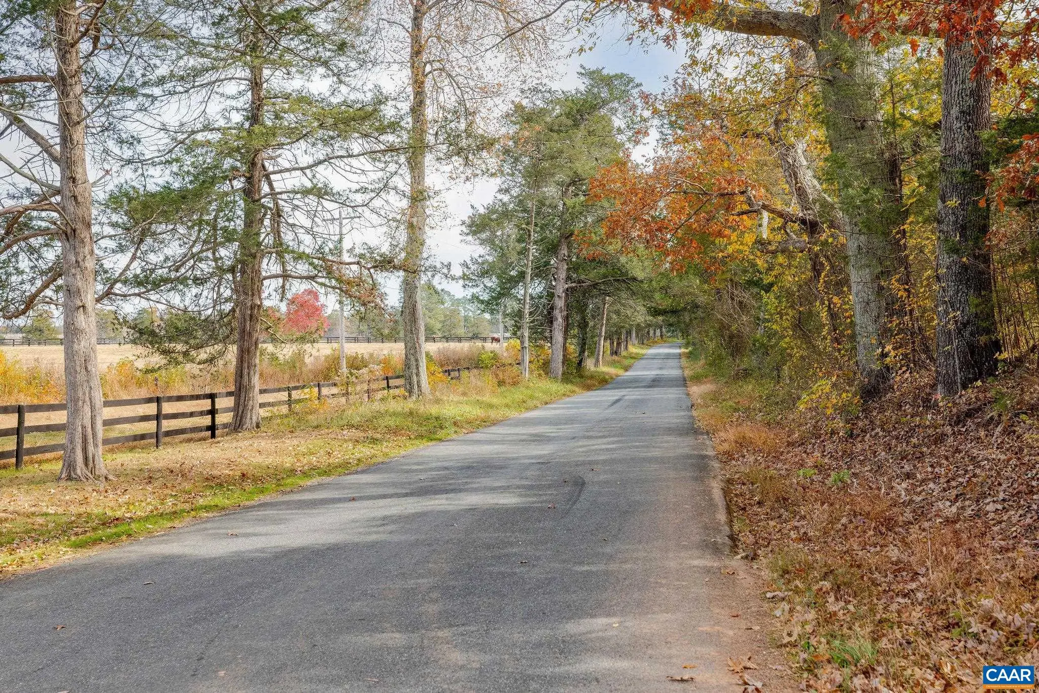 Lot 5 Coles Rolling Rd, Scottsville