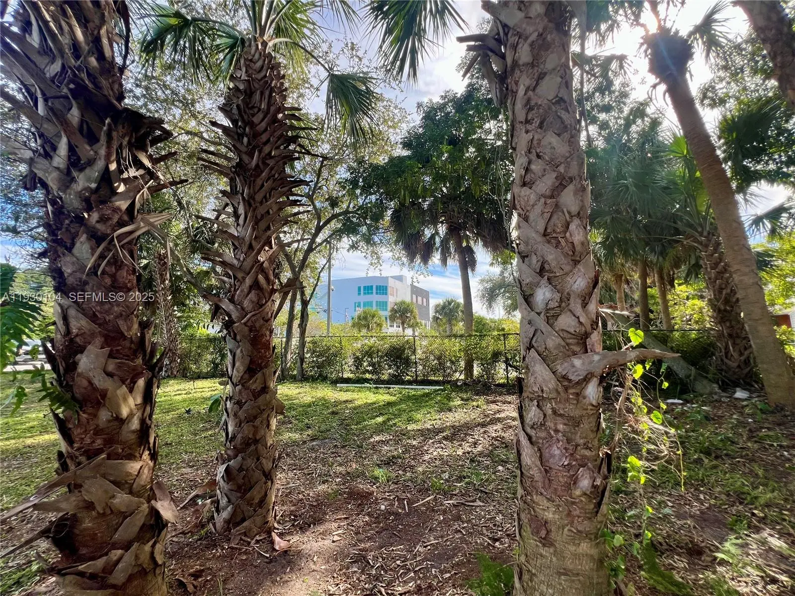 Photo of Listing #A11930104