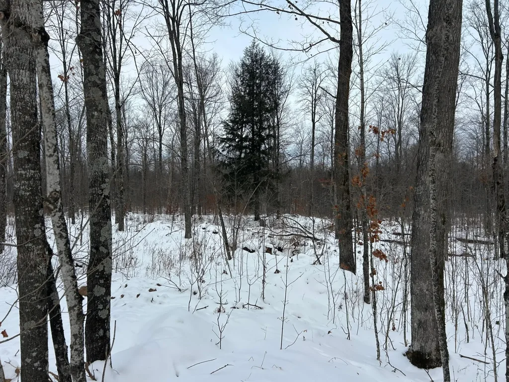 Lot 24 Cth G, Pelican Lake