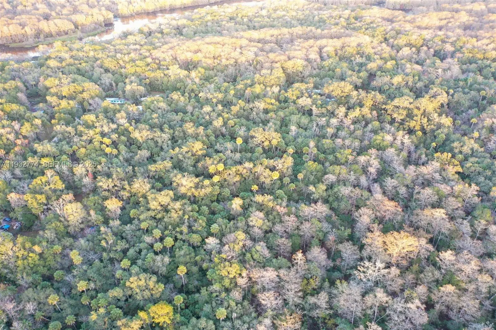 Photo of Listing #A11932774