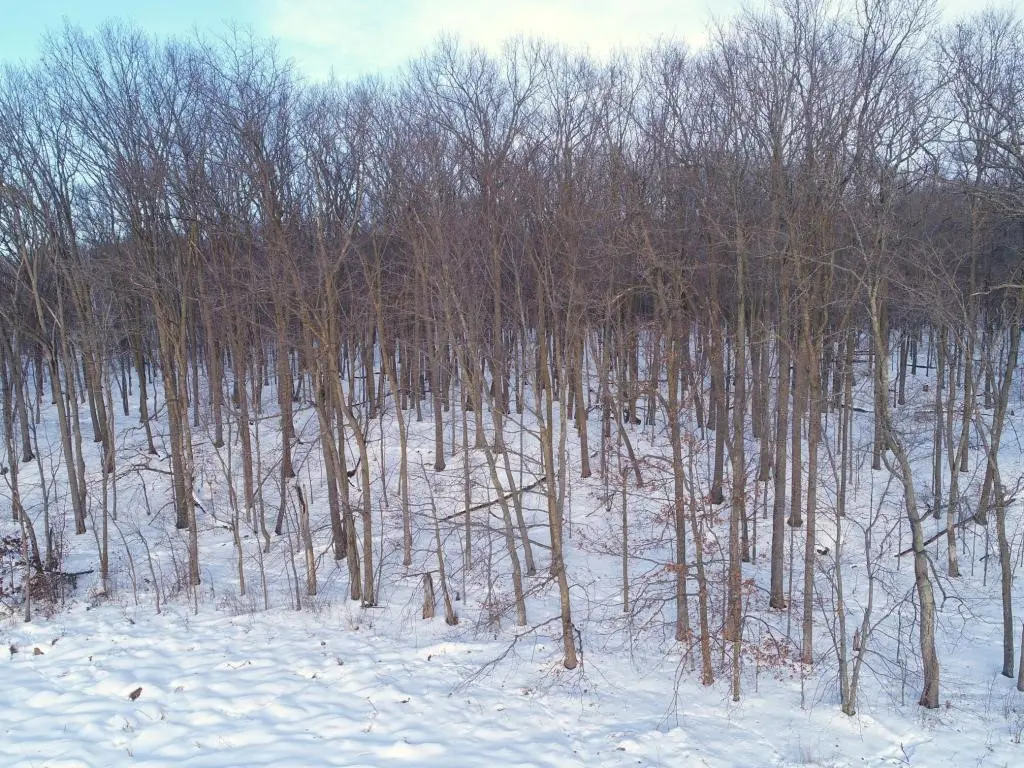 158ac 110th Street, Frederic