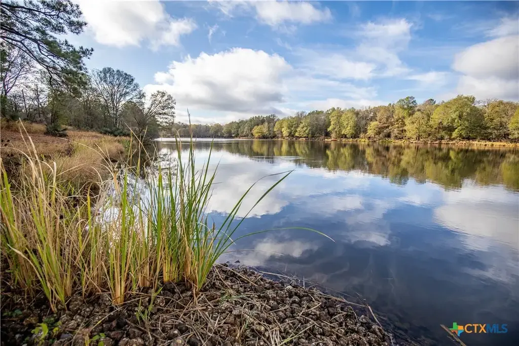 474 Pr 4311, White Oak