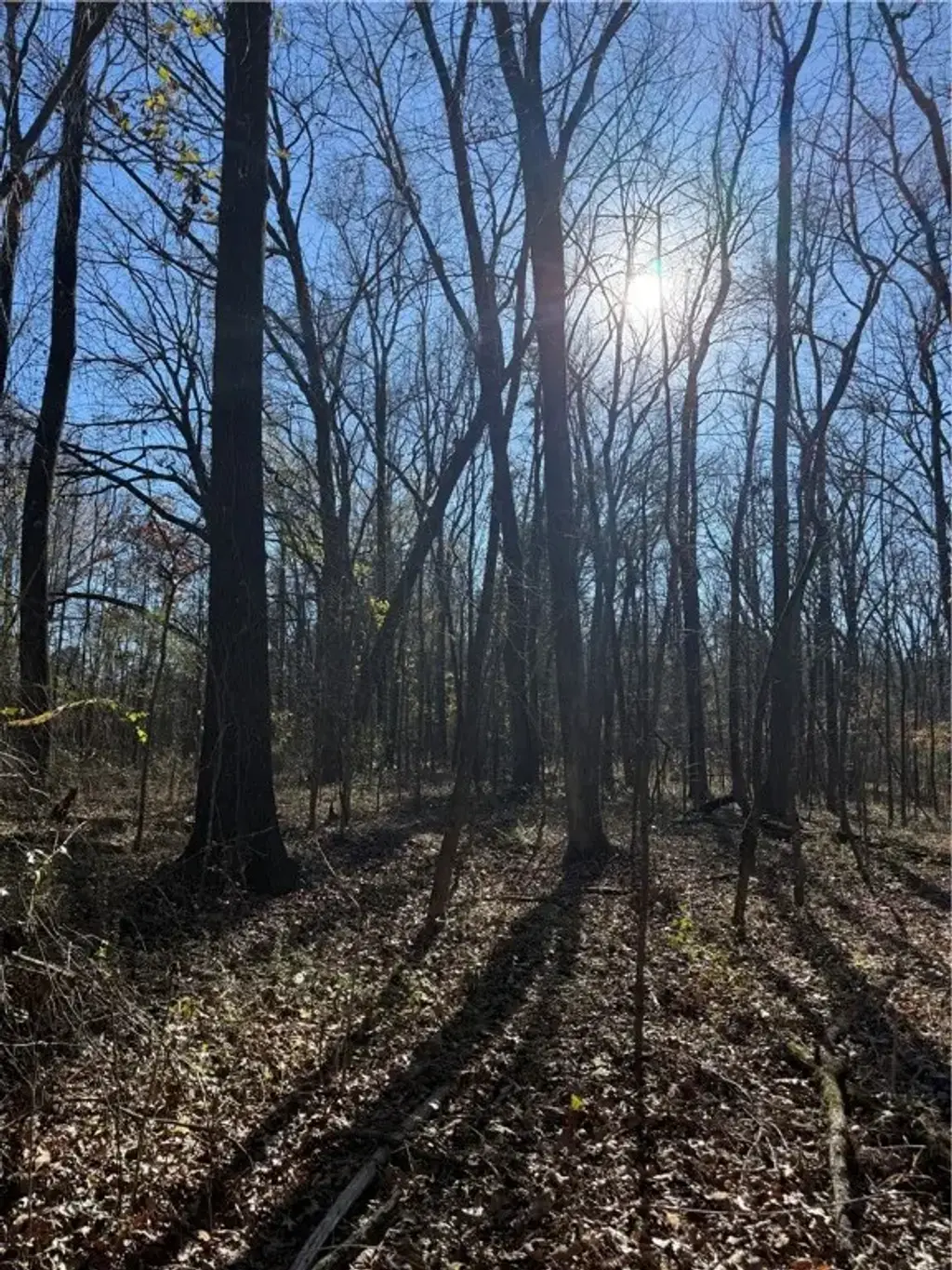 Nebo Acres Road, Dardanelle