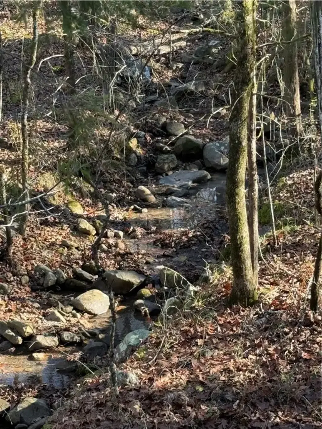 Nebo Acres Road, Dardanelle