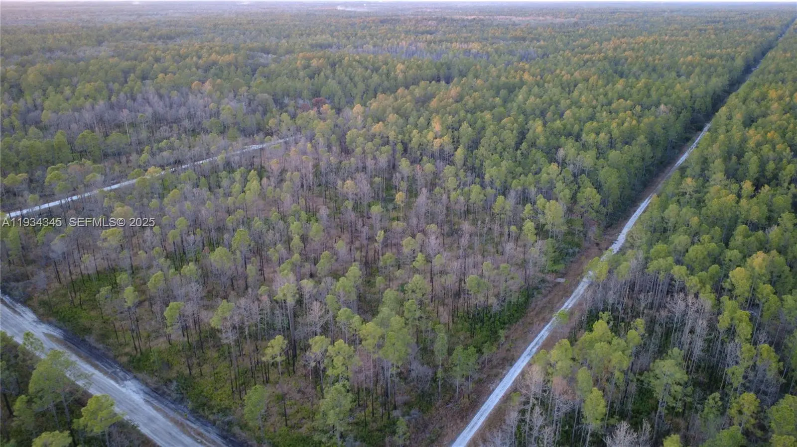 Photo of Listing #A11934345