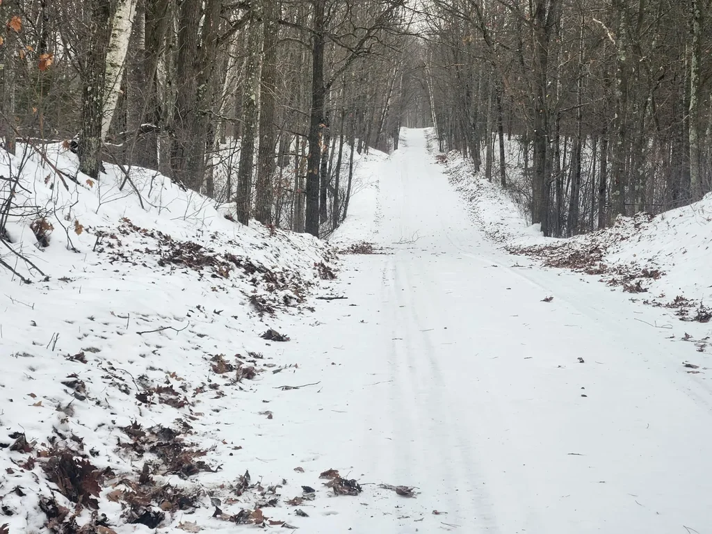 On Roe Lake Rd, Rhinelander