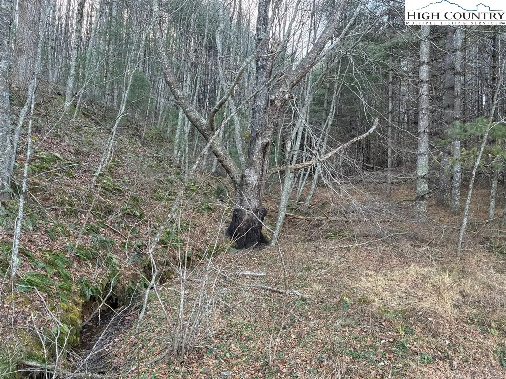 Tbd Old Highway 16 Highway, Grassy Creek