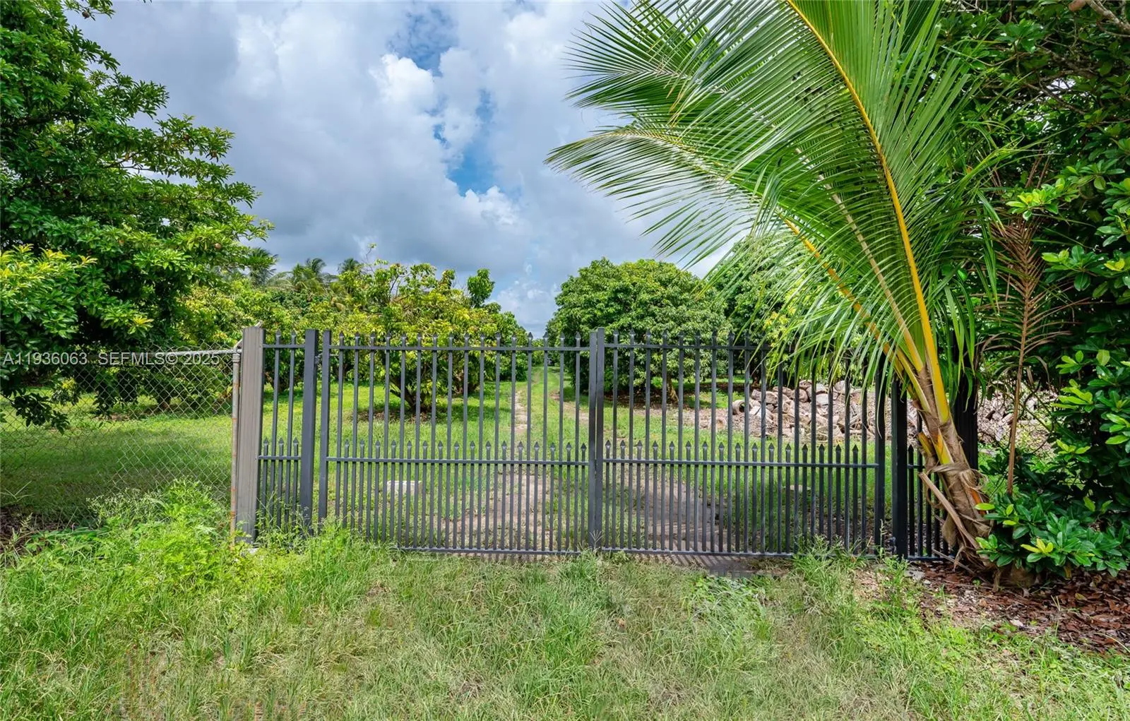 Photo of Listing #A11936063