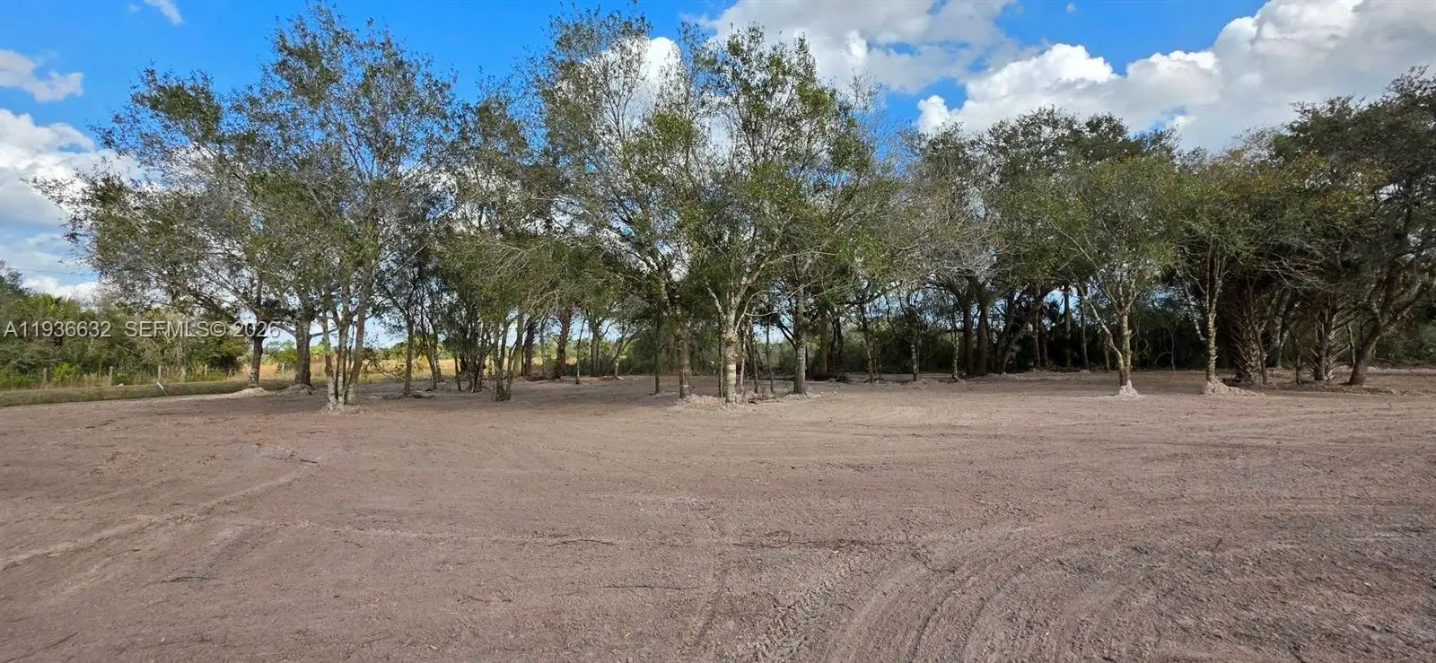 Photo of Listing #A11936632