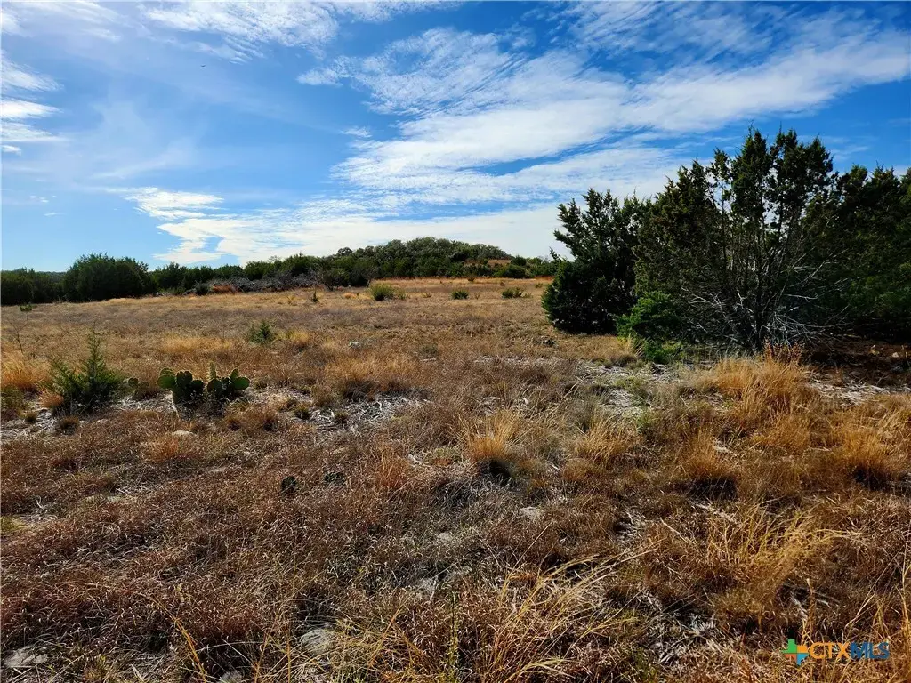 Tbd Shin Oak Drive, Lampasas