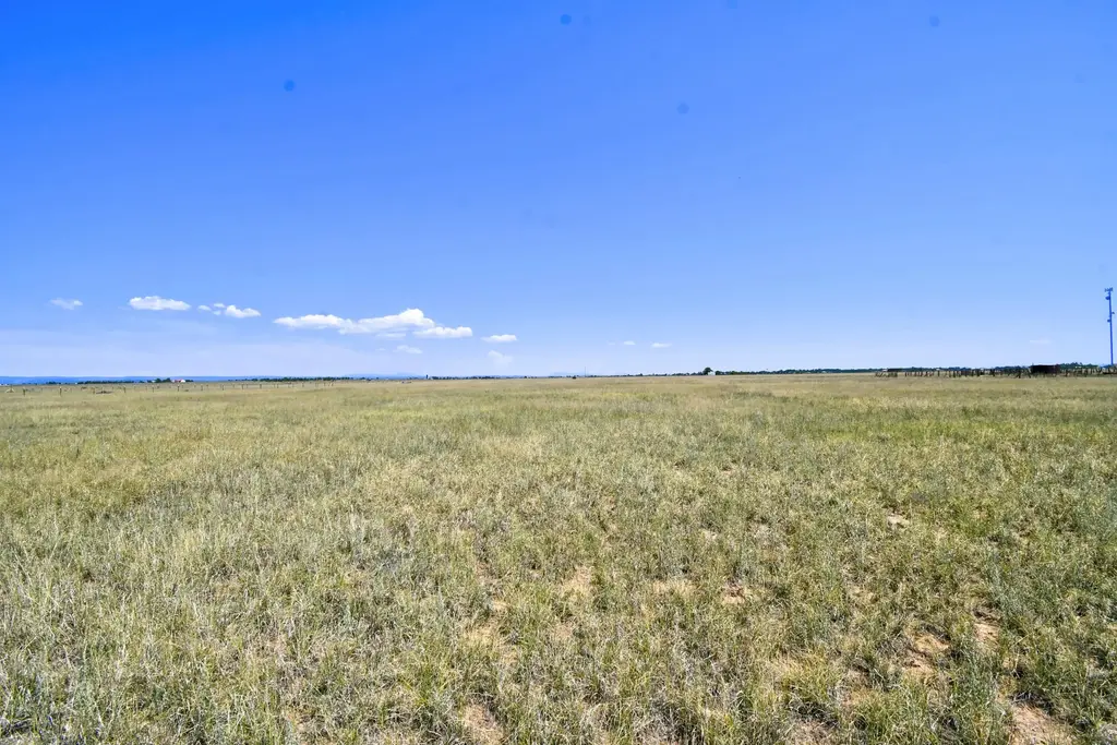 Cricket Lane, Estancia