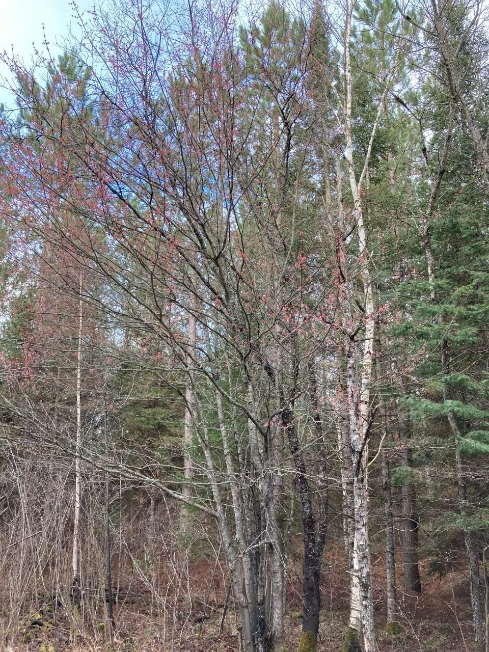 On 2nd Ave # Tract 2073, Turtle Lake