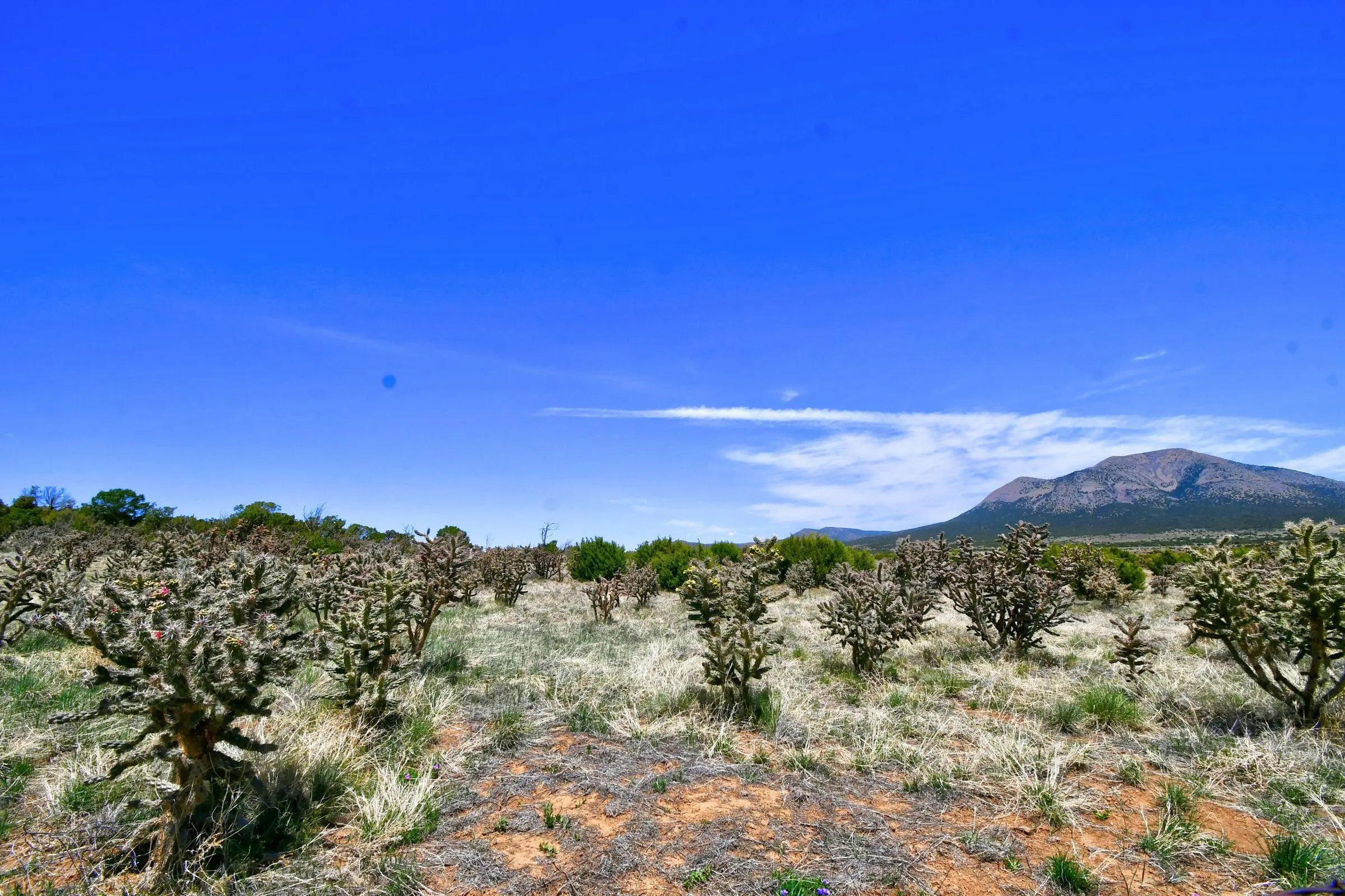 201 Entranosa/ Lot 2 Road, Edgewood