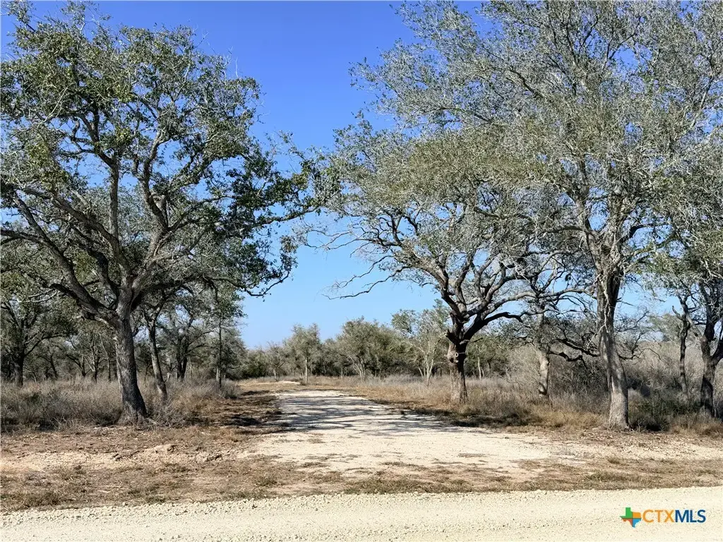 1776 Fm 1351, Goliad