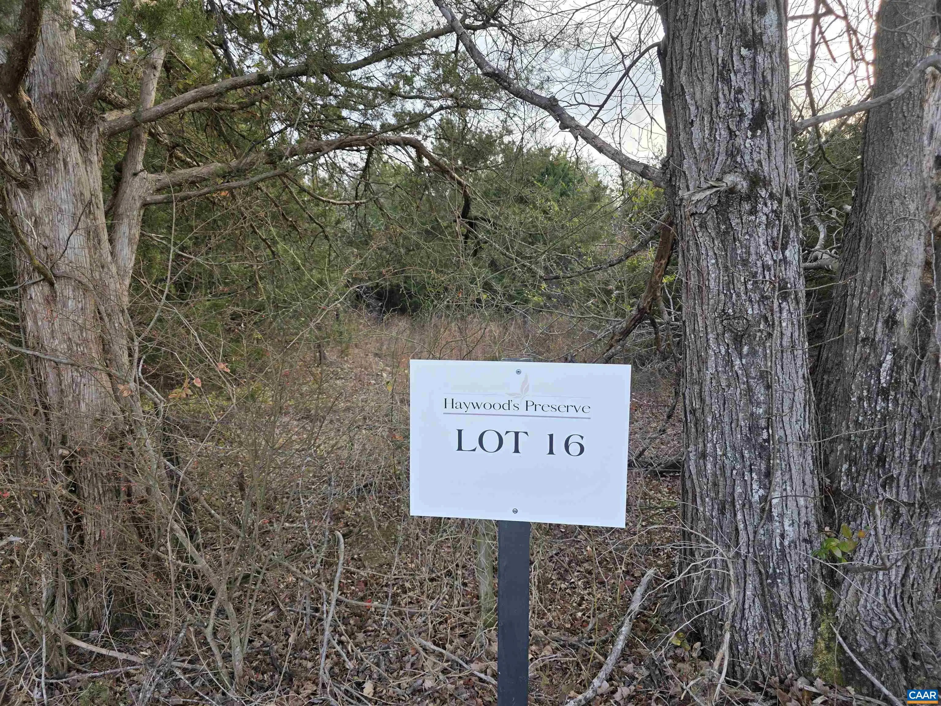 Lot 16 Pea Ridge Rd, Stanardsville