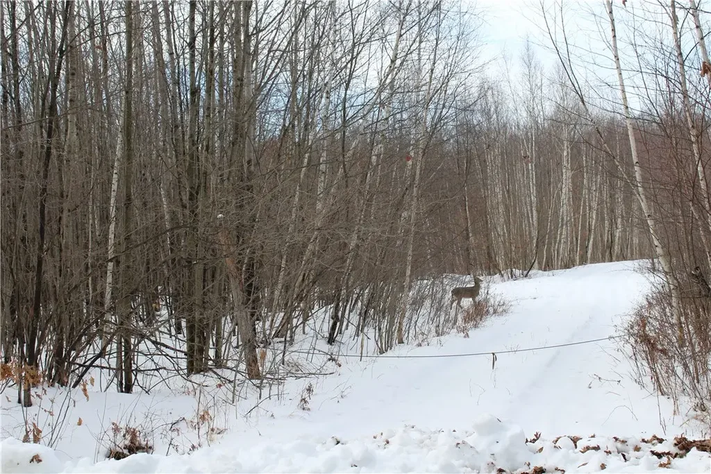 Badger Avenue, Granton