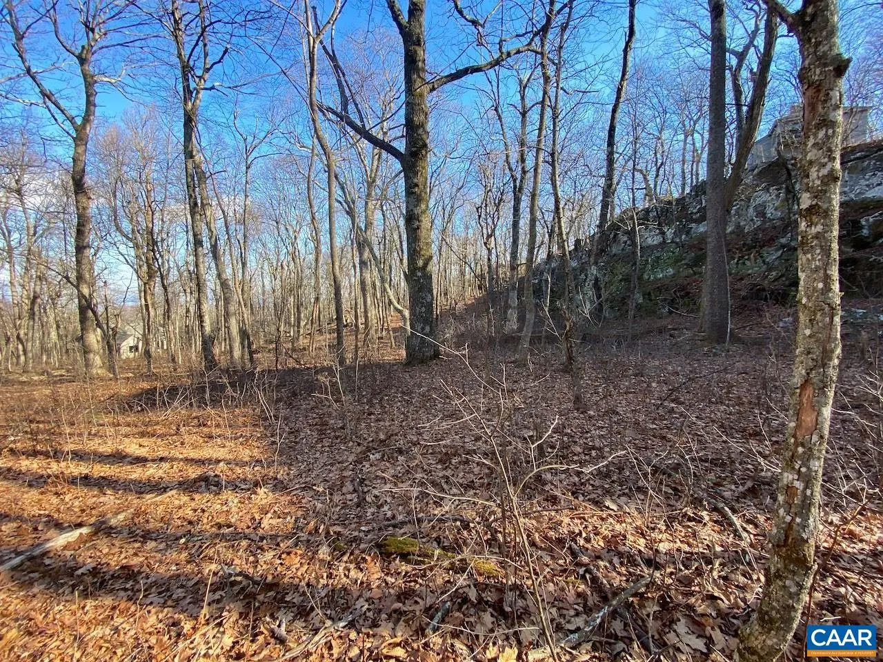 462 Deer Springs Ln, Wintergreen Resort