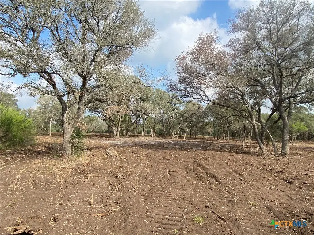 1776 Fm 1351, Goliad