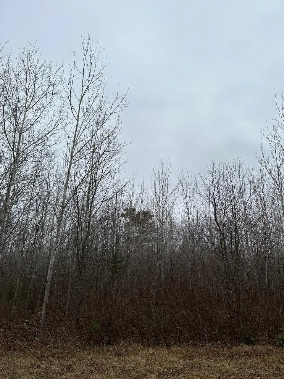 On Burrows Lake Rd # 4067-a, Tomahawk