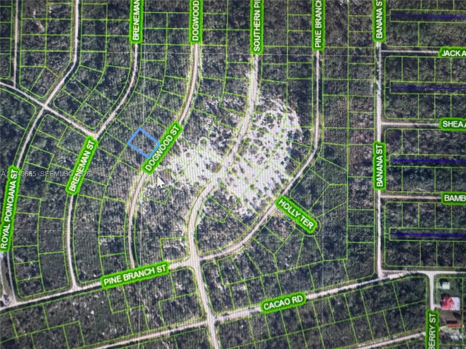 Photo of Listing #A11943665