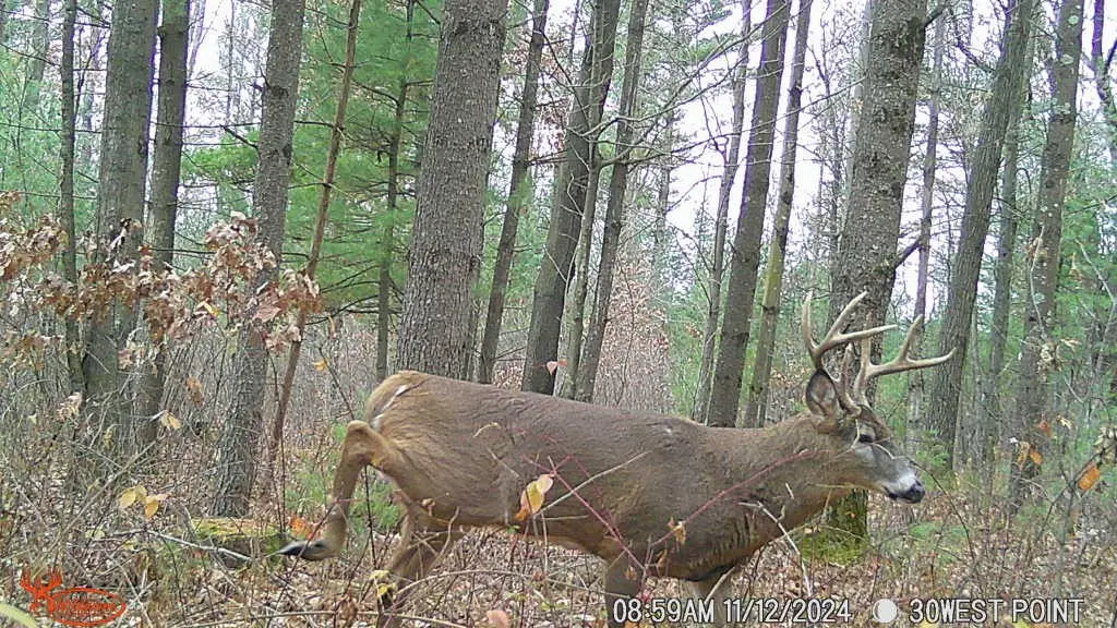 W10979 County Highway B, Humbird