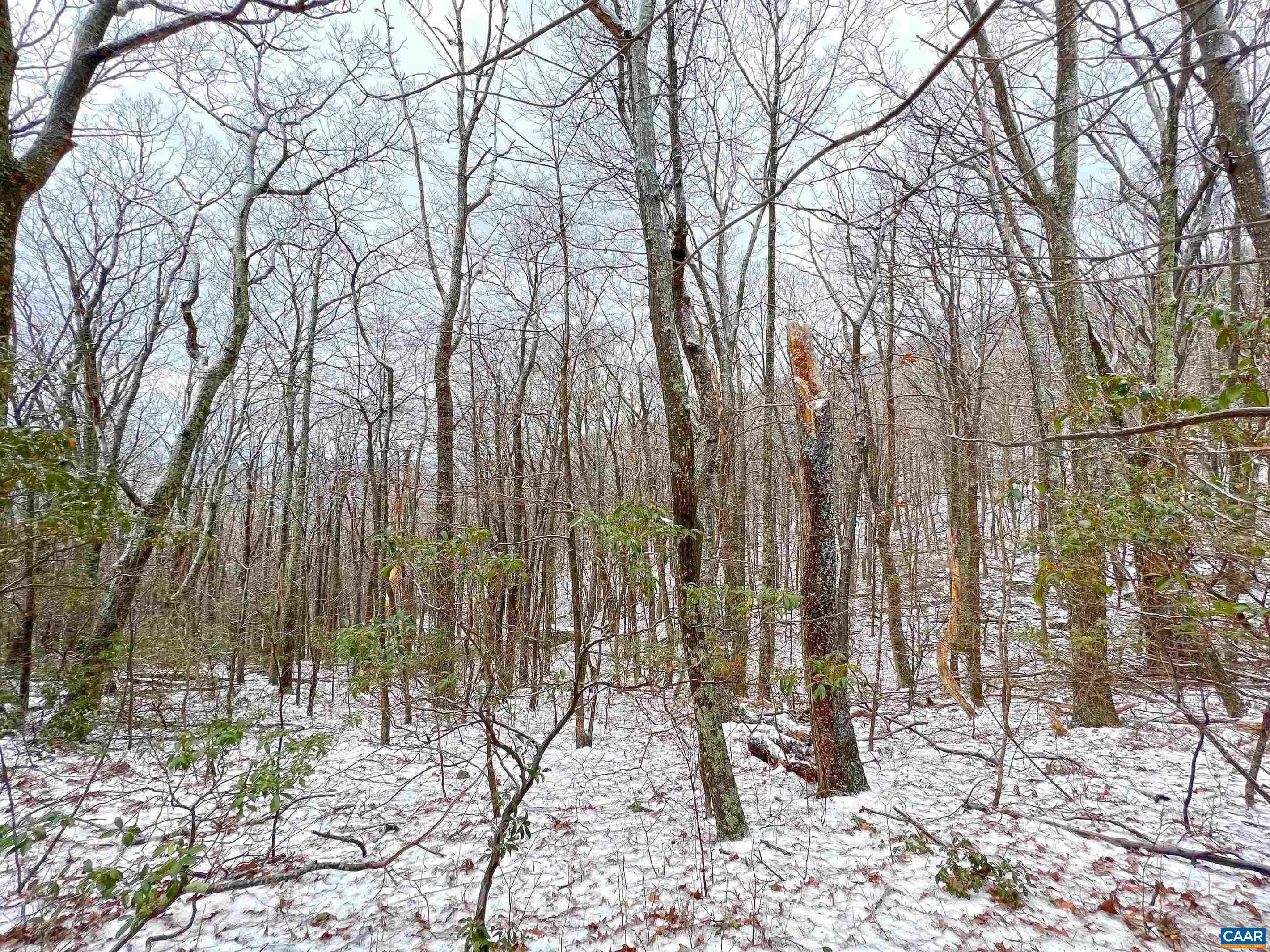 1843 Wintergreen Dr, Wintergreen Resort