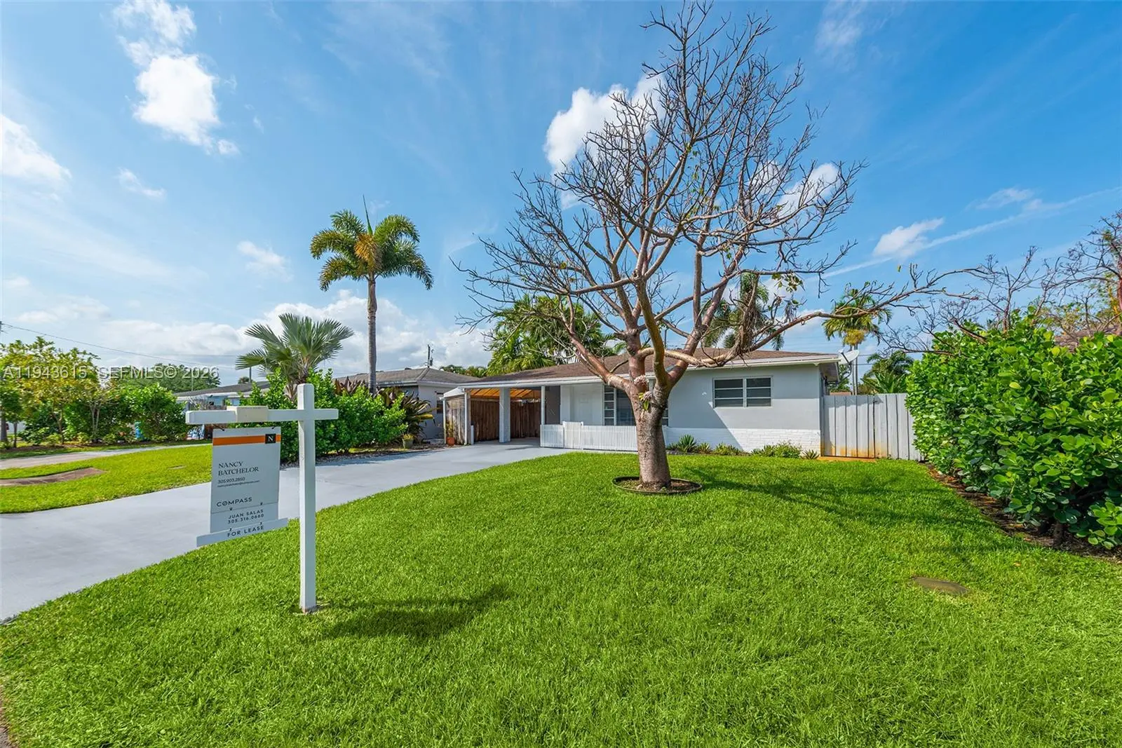 Photo of Listing #A11943615