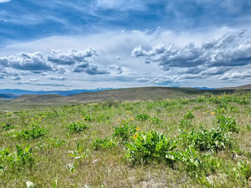 7800 Browns Meadow Road, Niarada
