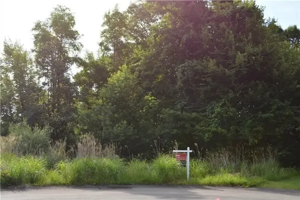 (lot 133) 310 Mccutcheon Court , Pine